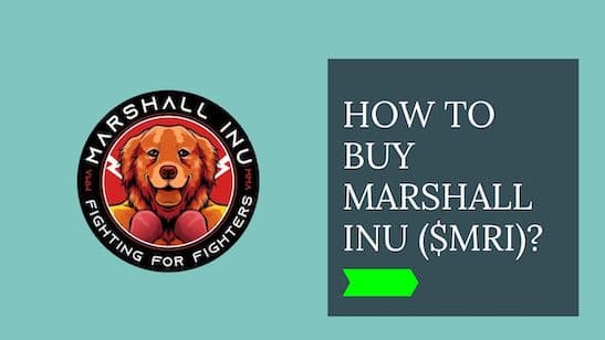 Tutorial: How to buy Marshall Inu ($MRI)?