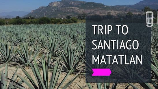 Trip to Santiago Matatlán - The World Capital of Mezcal