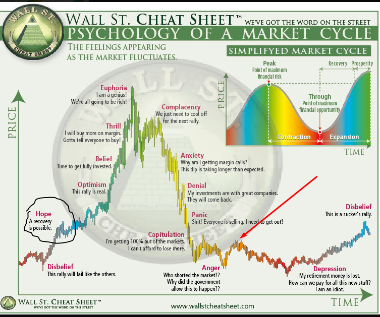 Psychology of market cycle - Cheat Sheet