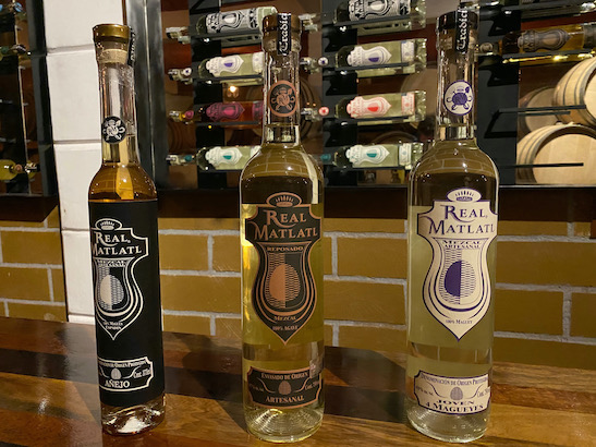 Different types of Mezcals